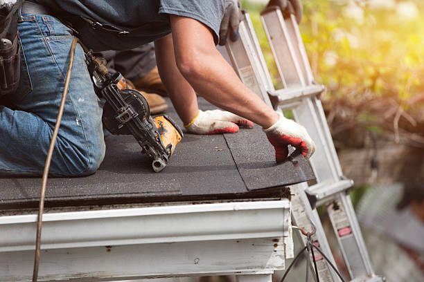 Best Shingle Roofing Installation  in Winlock, WA
